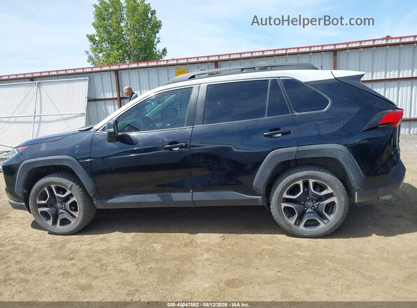 2T3J1RFV5KC039515 2019 TOYOTA RAV4 Black Панорамний вид салону 360°