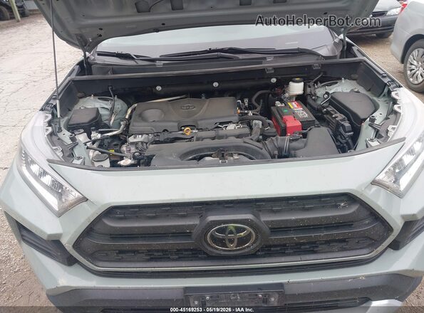 2T3J1RFV8KC042733 2019 TOYOTA RAV4 Light Blue Vista trasera