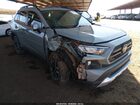 2019 Toyota Rav4 Adventure Серый vin: 2T3J1RFV8KW034100