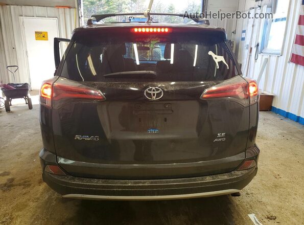 2T3JFREV3GW450288 2016 TOYOTA RAV4 Gray უკანა ხედი