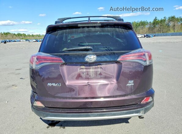 2T3JFREV5GW497810 2016 TOYOTA RAV4 Purple Հետևի տեսք