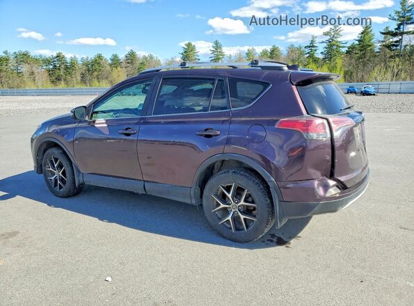 2T3JFREV5GW497810 2016 TOYOTA RAV4 Purple Հետևի ձախ