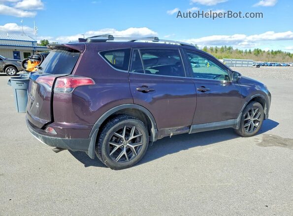 2T3JFREV5GW497810 2016 TOYOTA RAV4 Purple Հետևի աջ