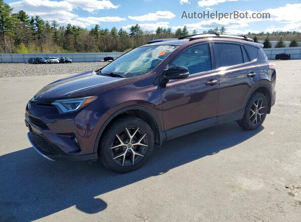 2T3JFREV5GW497810 2016 TOYOTA RAV4 Purple Առջևի ձախ երեք քառորդ տեսարան