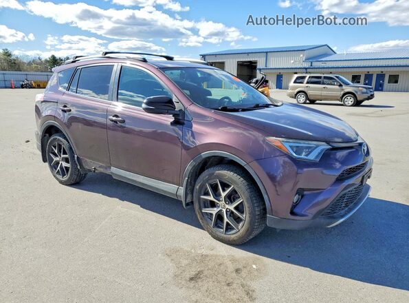 2T3JFREV5GW497810 2016 TOYOTA RAV4 Purple Առջևի աջ