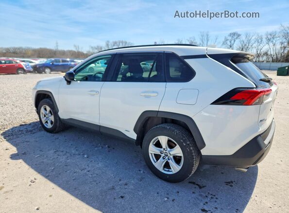 2T3LWRFV0KW027698 2019 TOYOTA RAV4 White Задня ліва чверть