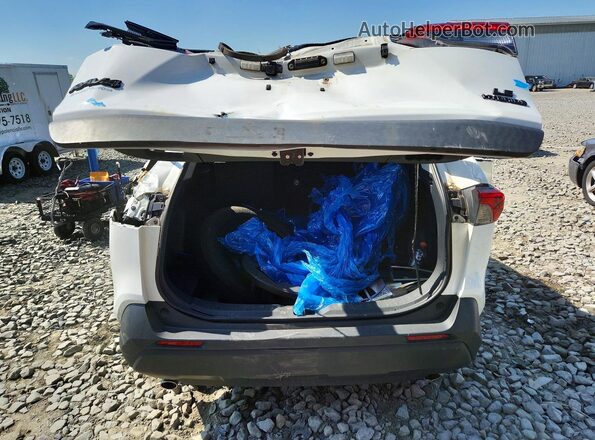 2T3MWRFV3LW058871 2020 TOYOTA RAV4 Белый Вид сзади