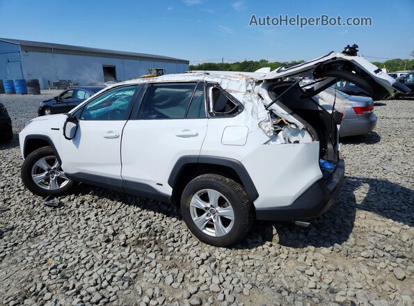 2T3MWRFV3LW058871 2020 TOYOTA RAV4 Белый Задняя левая четверть