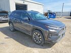 2023 Toyota Rav4 Limited Gray vin: 2T3N1RFV8PC336917 2023 Toyota Rav4 Limited Gray vin: 2T3N1RFV8PC336917