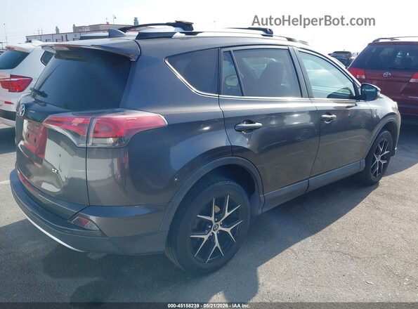 2T3NFREV0GW264306 2016 TOYOTA RAV4 Gray Tył prawy