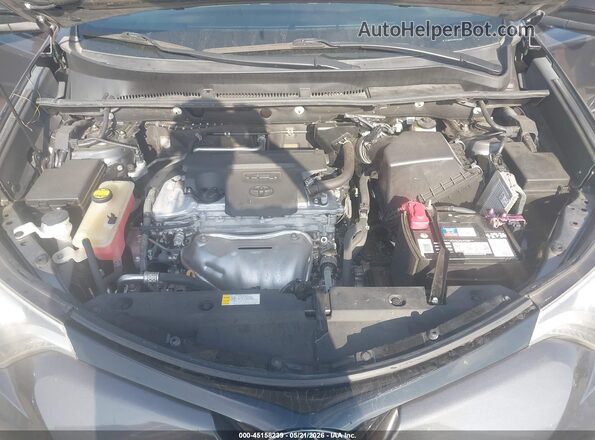 2T3NFREV0GW264306 2016 TOYOTA RAV4 Gray Widok z tyłu