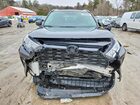 2019 Toyota Rav4 Xle Black vin: 2T3P1RFV0KC060279