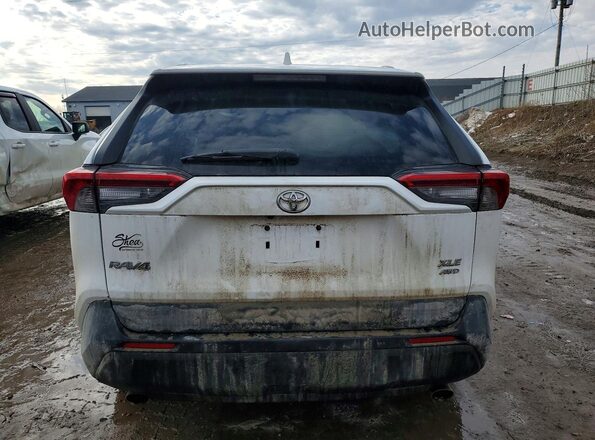 2T3P1RFV0MC141463 2021 TOYOTA RAV4 Белый Вид сзади