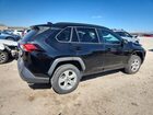 2020 Toyota Rav4 Xle Black vin: 2T3P1RFV1LC091686