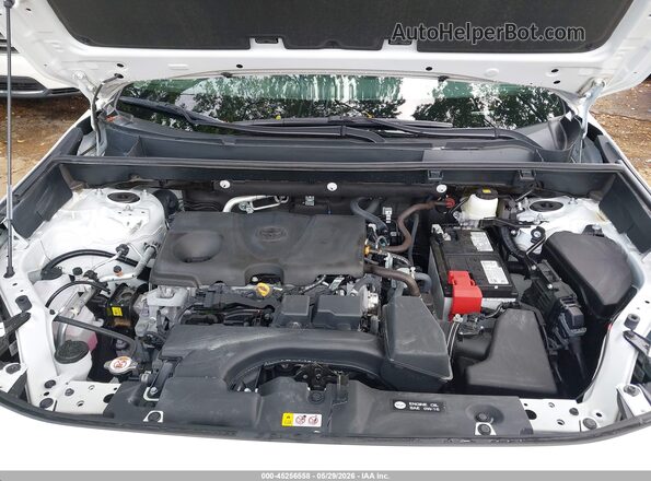 2T3P1RFV1SW575371 2025 TOYOTA RAV4 White Вид ззаду