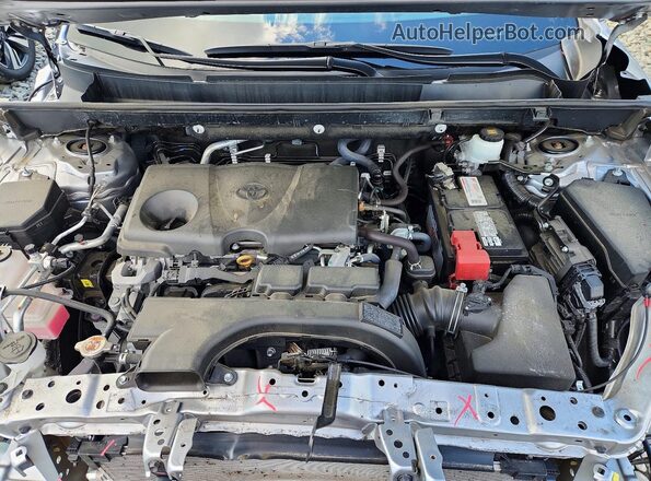 2T3P1RFV6LC061194 2020 TOYOTA RAV4 Серебряный Вид задней части салона