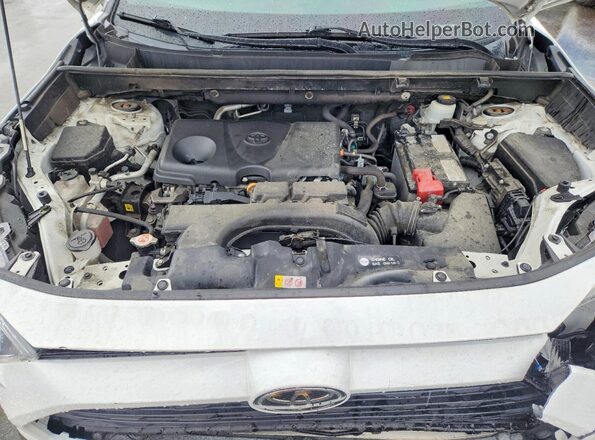2T3P1RFV6MW177592 2021 TOYOTA RAV4 White Engine compartment view