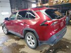 2019 Toyota Rav4 Xle Burgundy vin: 2T3R1RFV6KC012150
