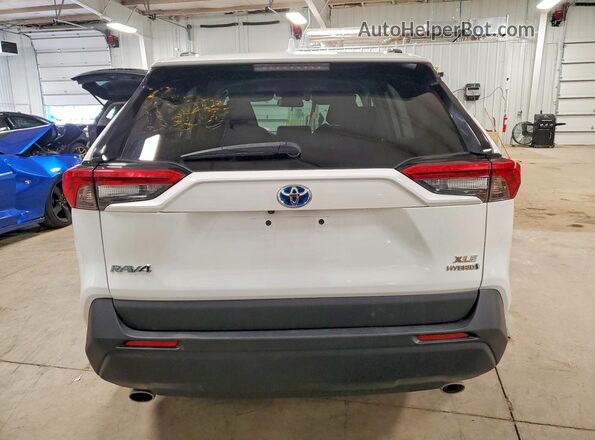 2T3R6RFV4MW018984 2021 TOYOTA RAV4 White Widok z tyłu