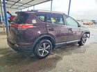 2016 Toyota Rav4 Xle Фиолетовый vin: 2T3RFREV0GW485924 2016 Toyota Rav4 Xle Фиолетовый vin: 2T3RFREV0GW485924