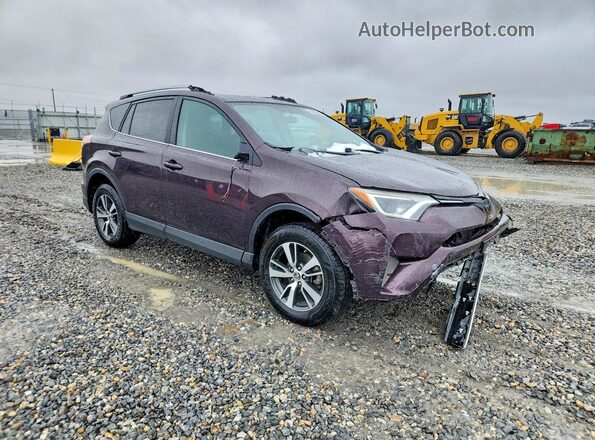 2T3RFREV0GW485924 2016 TOYOTA RAV4 Фиолетовый Передняя правая четверть