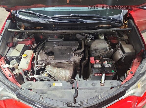 2T3RFREV2GW530636 2016 TOYOTA RAV4 Red Շարժիչի բաժամունքի տեսք