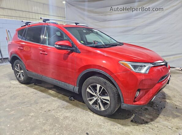 2T3RFREV2GW530636 2016 TOYOTA RAV4 Red Առջևի աջ