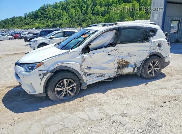 2T3RFREV3GW442050 2016 TOYOTA RAV4 Белый Передняя левая четверть
