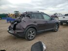 2016 Toyota Rav4 Xle Бордовый vin: 2T3RFREV5GW506802