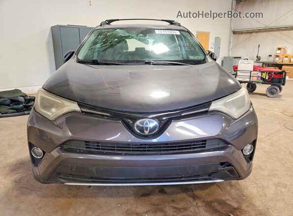2T3RFREV5HW683786 2017 TOYOTA RAV4 Серый Вид спереди