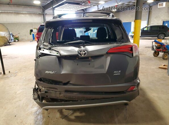 2T3RFREV5HW683786 2017 TOYOTA RAV4 Серый Вид сзади