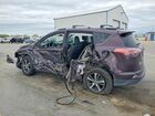 2017 Toyota Rav4 Xle Фиолетовый vin: 2T3RFREV7HW605610