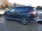 2018 Toyota Rav4 Черный vin: 2T3RFREV7JW706684
