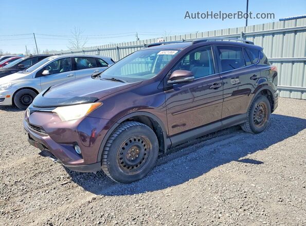2T3RFREV8HW604692 2017 TOYOTA RAV4 Purple Przód lewy