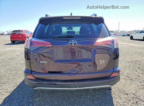 2T3RFREV8HW604692 2017 TOYOTA RAV4 Purple Widok z tyłu