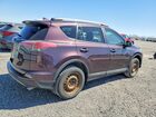 2017 Toyota Rav4 Xle Purple vin: 2T3RFREV8HW604692