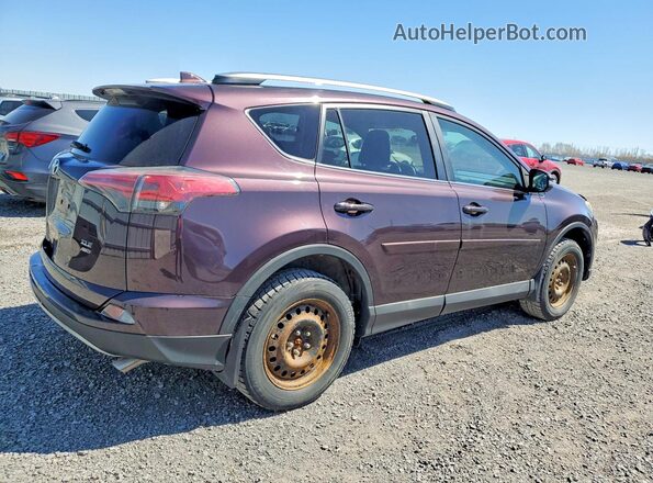 2T3RFREV8HW604692 2017 TOYOTA RAV4 Purple Tył prawy