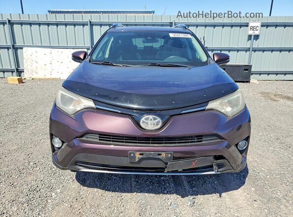 2T3RFREV8HW604692 2017 TOYOTA RAV4 Purple Widok z przodu