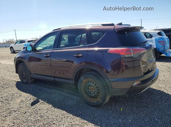 2T3RFREV8HW604692 2017 TOYOTA RAV4 Purple Tył lewy