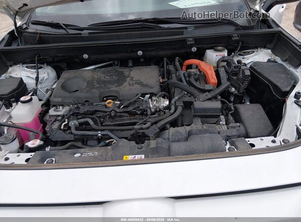 2T3RWRFV0RW209163 2024 TOYOTA LE White Widok z tyłu