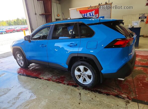 2T3RWRFV1LW099666 2020 TOYOTA RAV4 Синий Задняя левая четверть