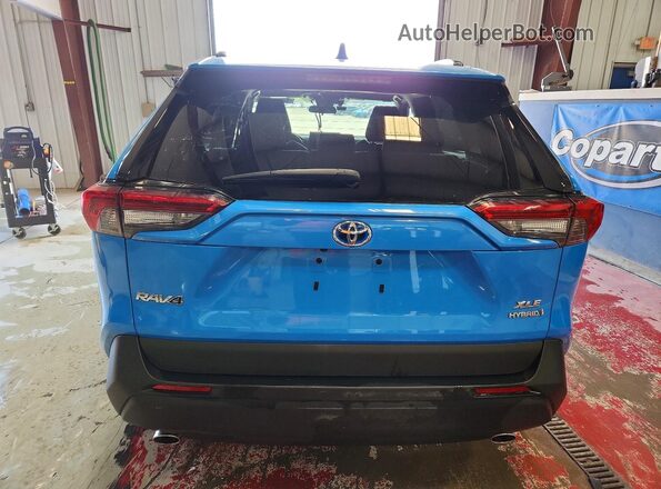 2T3RWRFV1LW099666 2020 TOYOTA RAV4 Синий Вид сзади