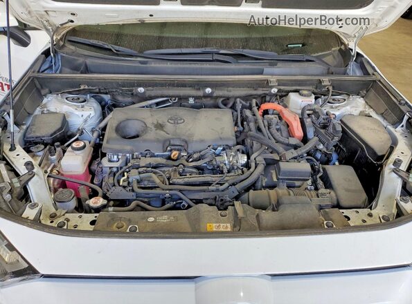 2T3RWRFV1RW198237 2024 TOYOTA RAV White Widok wnętrza z tyłu