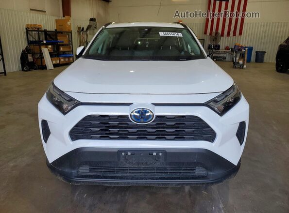 2T3RWRFV1RW198237 2024 TOYOTA RAV White Widok z przodu