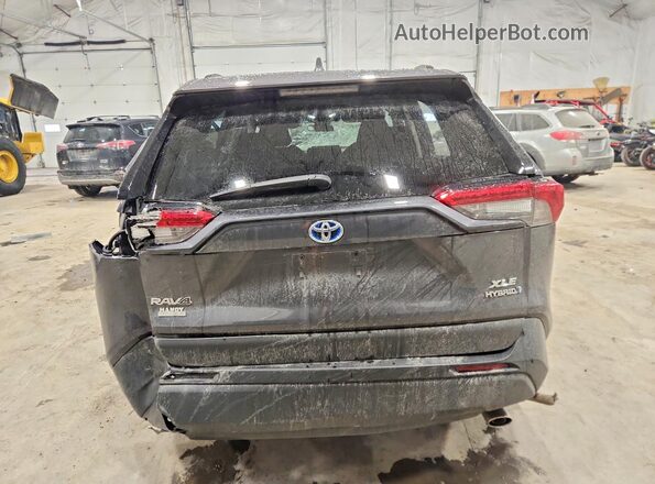 2T3RWRFV1RW202660 2024 TOYOTA RAVA Gray Вид ззаду