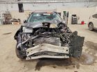 2024 Toyota Rava 4 Gray vin: 2T3RWRFV1RW202660