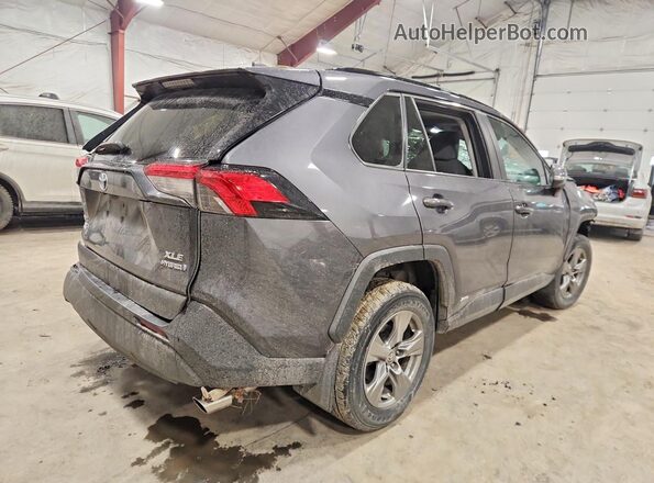 2T3RWRFV1RW202660 2024 TOYOTA RAVA Gray Задня права чверть