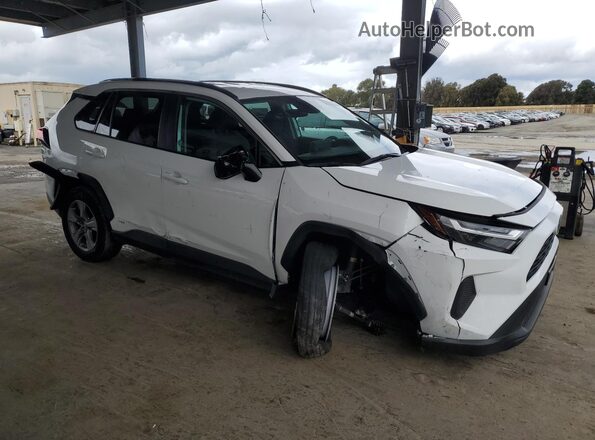 2T3RWRFV8RW221965 2024 TOYOTA RAV4 Белый 