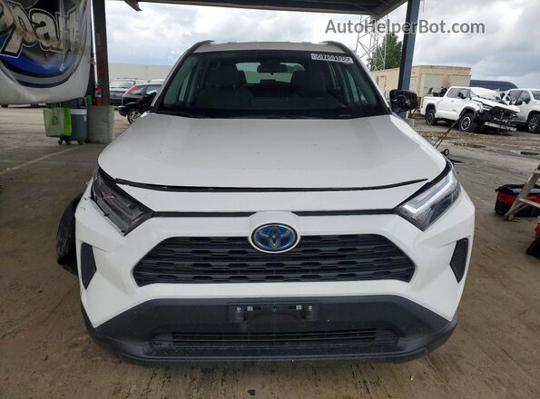 2T3RWRFV8RW221965 2024 TOYOTA RAV4 Белый Вид спереди