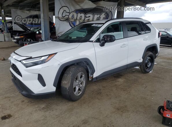 2T3RWRFV8RW221965 2024 TOYOTA RAV4 Белый 